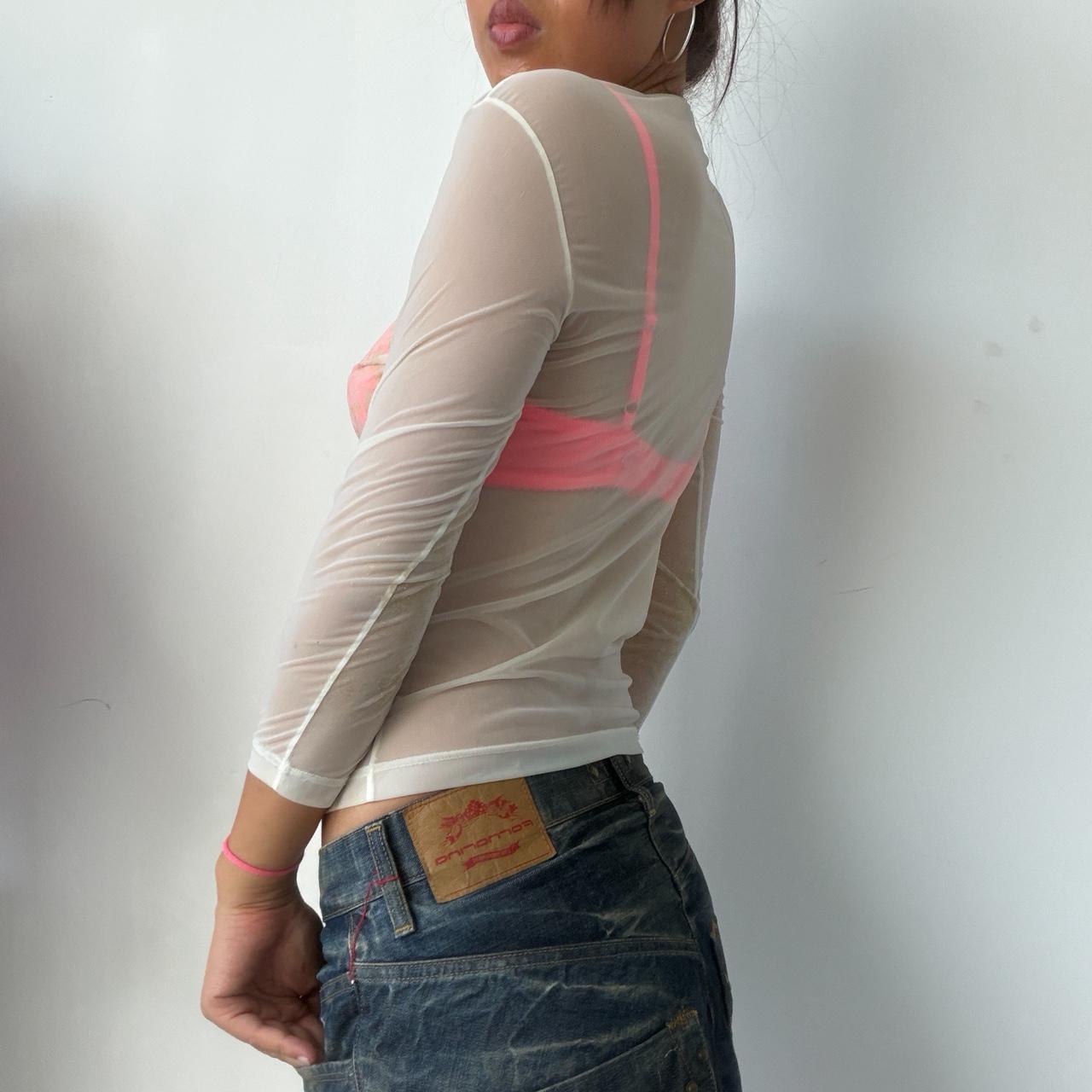 Vintage Beige Sheer V-Neck Top