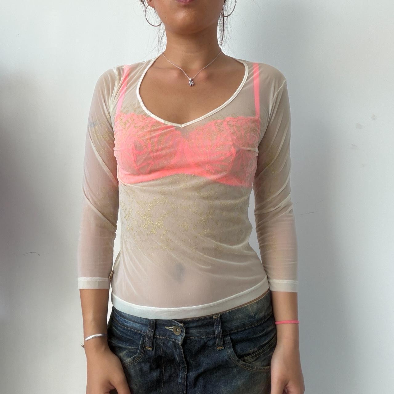 Vintage Beige Sheer V-Neck Top