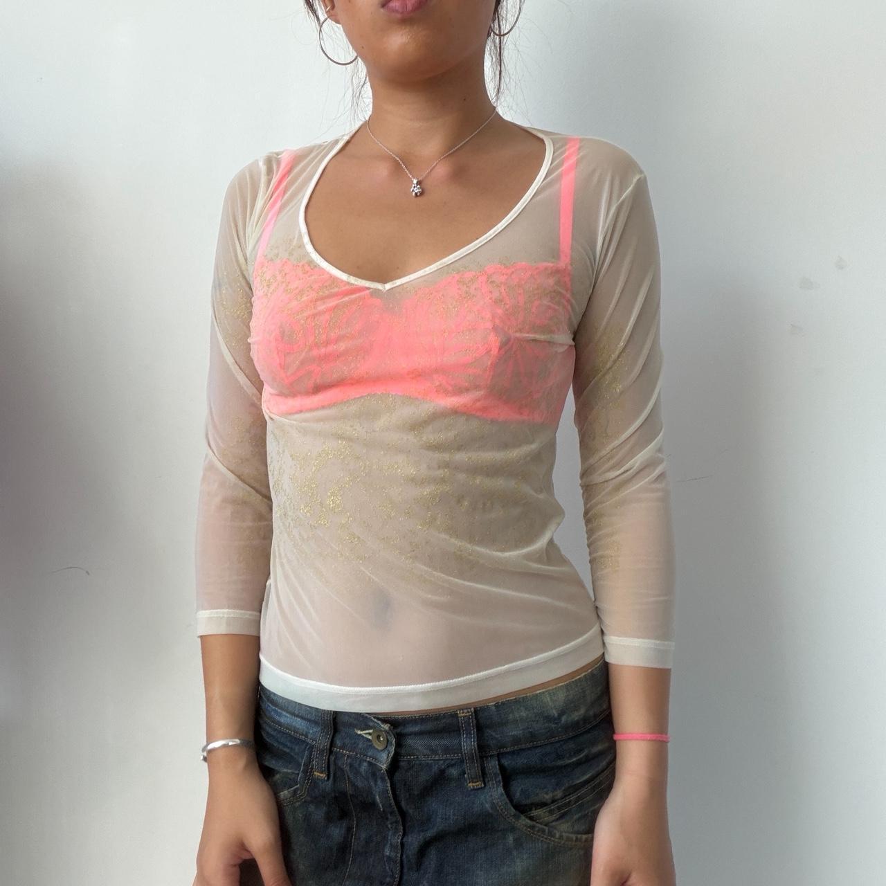 Vintage Beige Sheer V-Neck Top