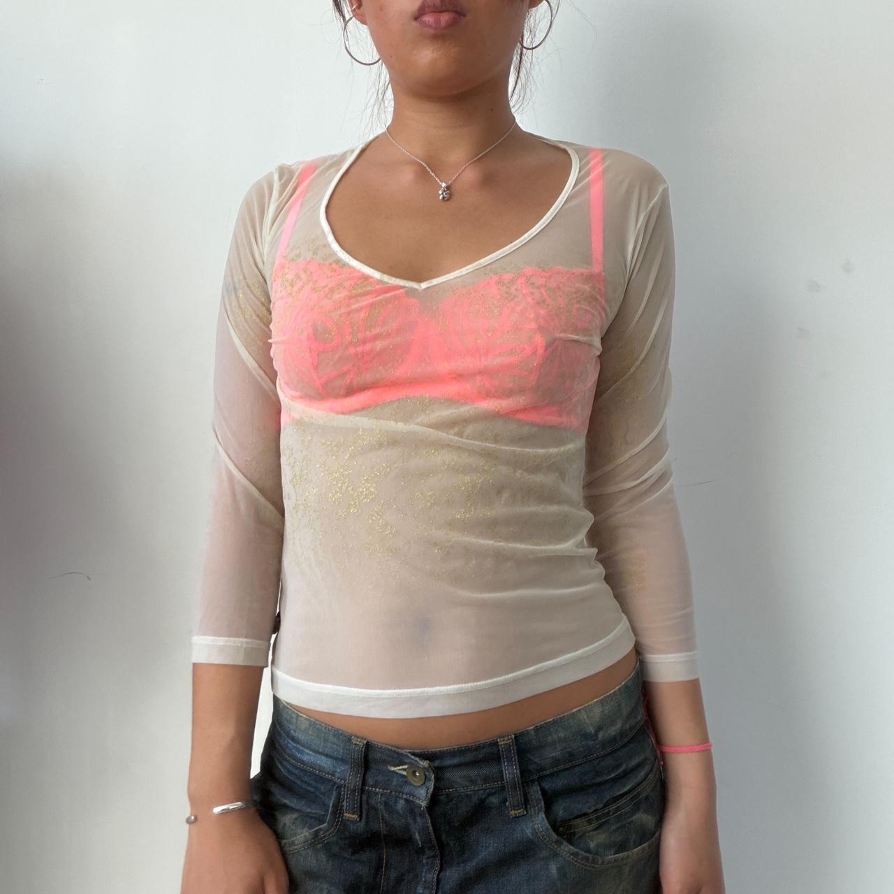 Vintage Beige Sheer V-Neck Top